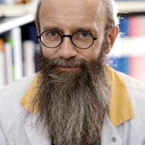 Foto: HENRIK ZETTERBERG